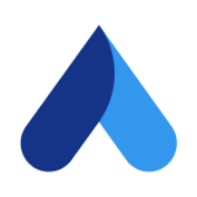 Audit Now Icon Audit Now Icon