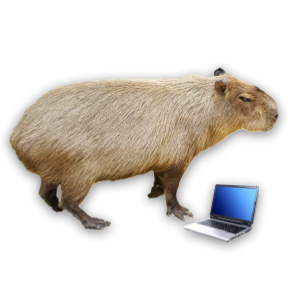 Keybara Icon Keybara Icon