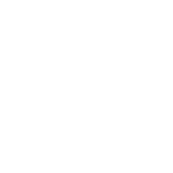 Ottic Icon