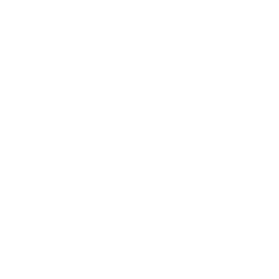 White Page Icon