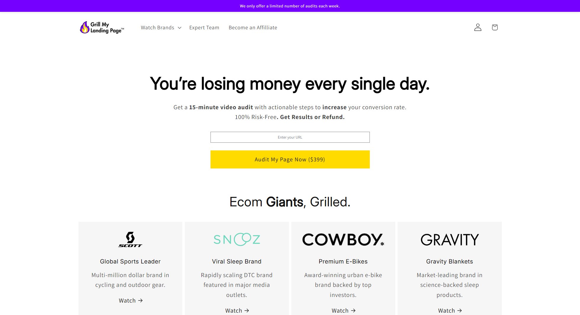 Grill My Landing Page Grill My Landing Page Interface & Screenshots