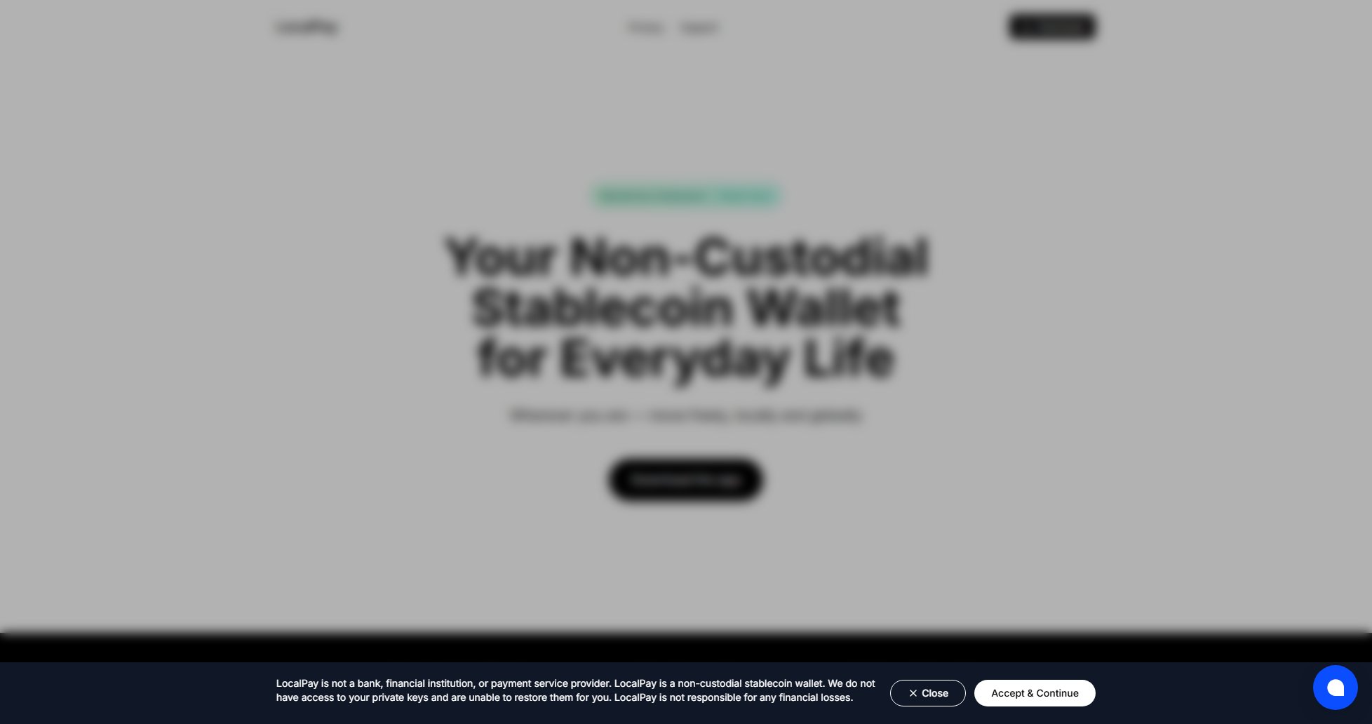 LocalPay LocalPay Interface & Screenshots