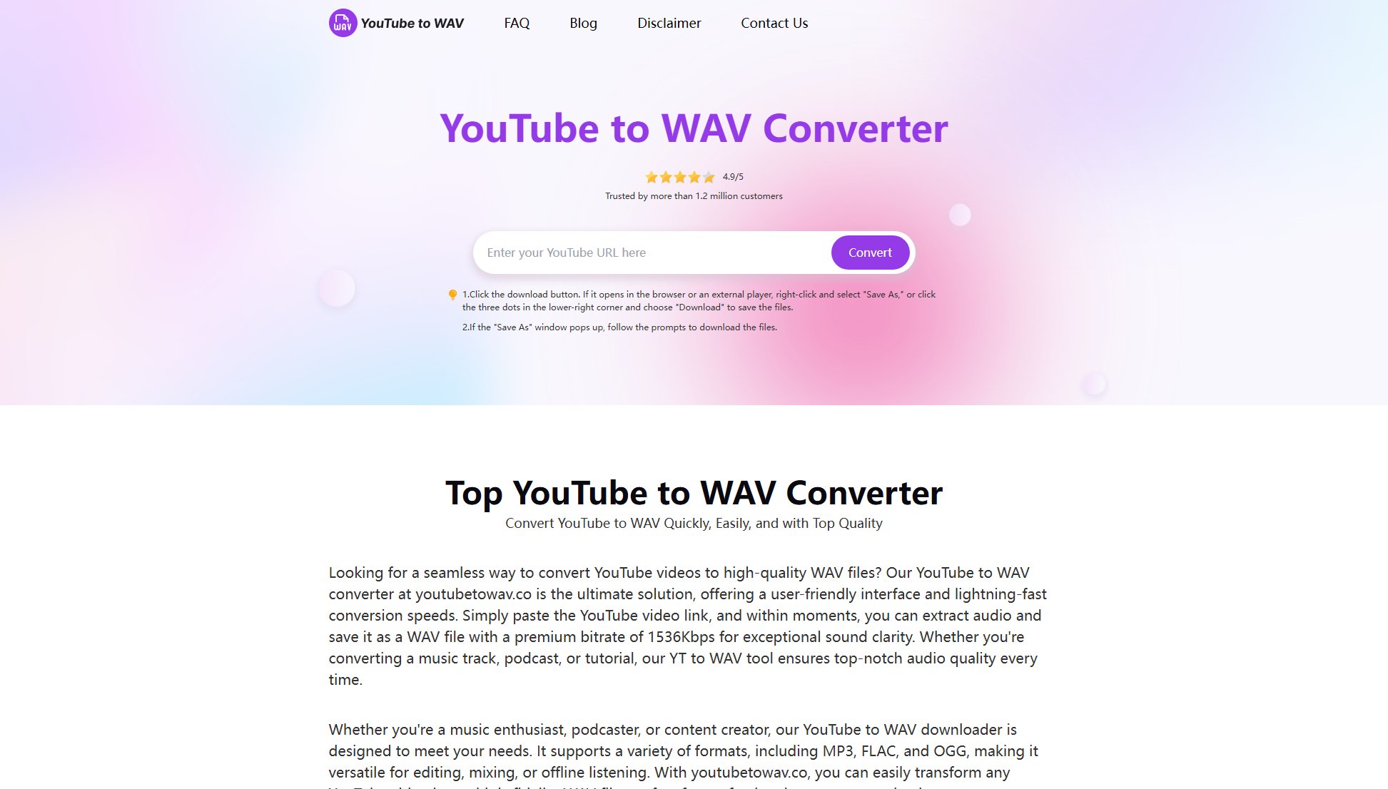 YouTube to WAV Converter Screenshot