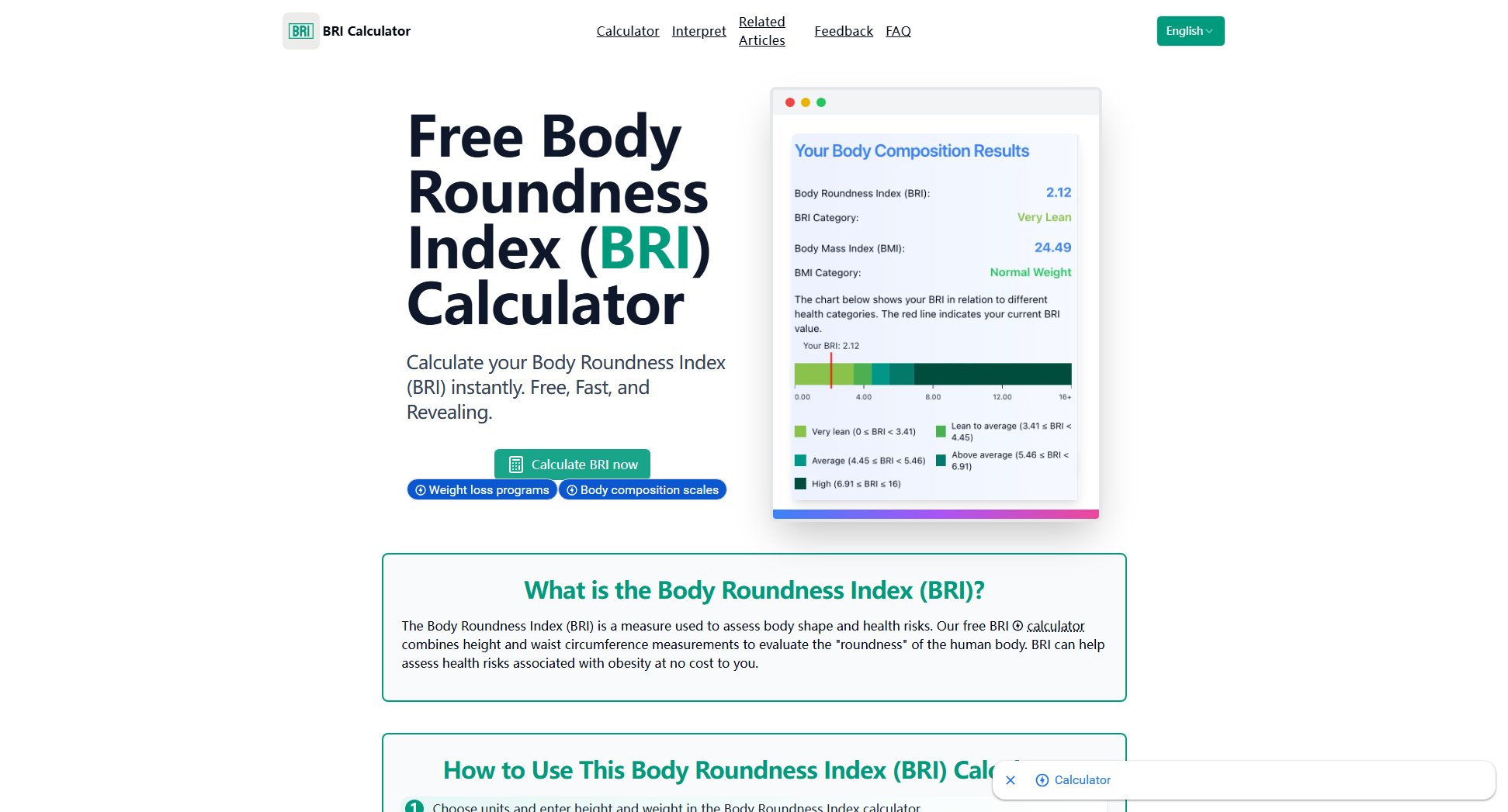 BRI Calculator BRI Calculator Interface & Screenshots