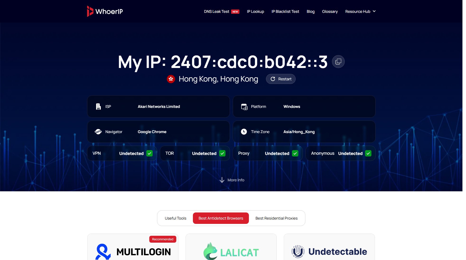 WhoerIP WhoerIP Interface & Screenshots WhoerIP WhoerIP Interface & Screenshots