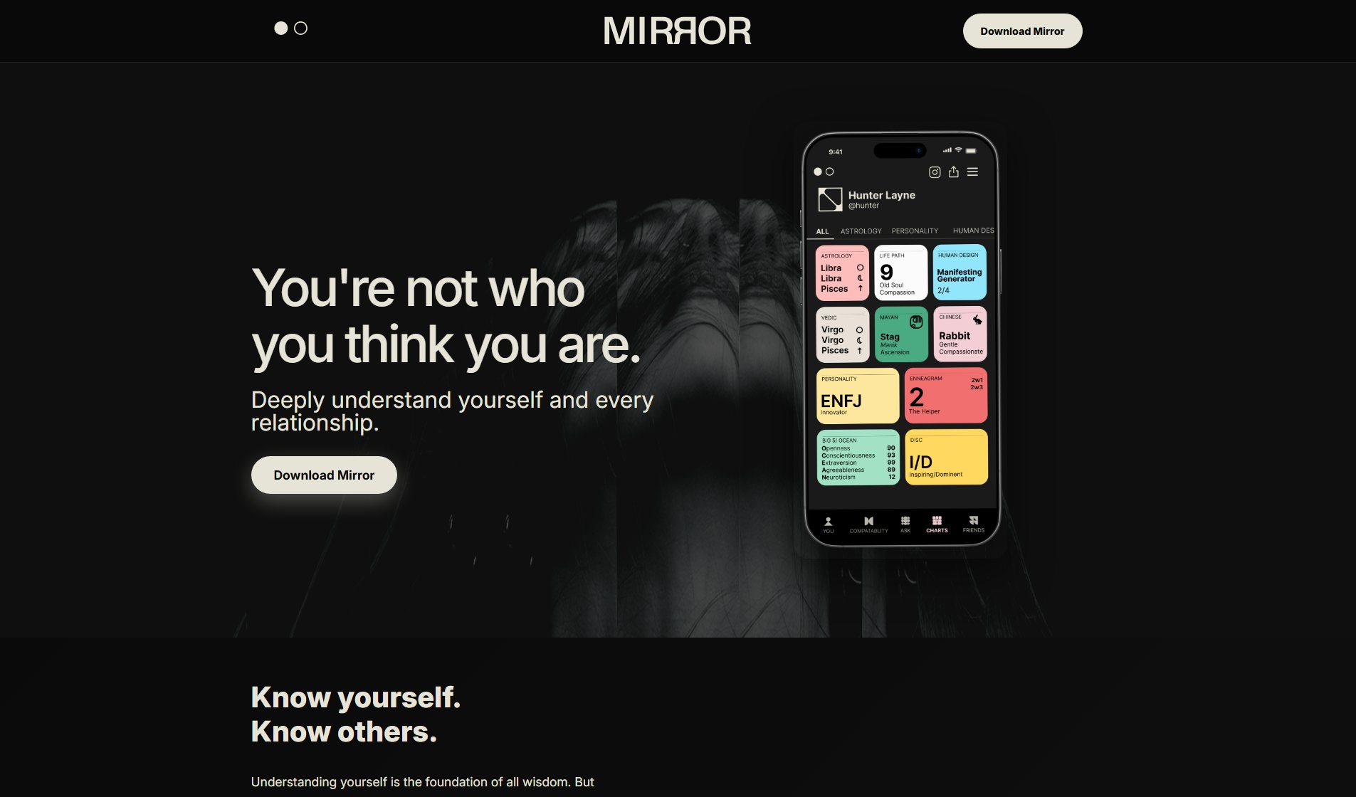 Mirror Screenshot Mirror Screenshot