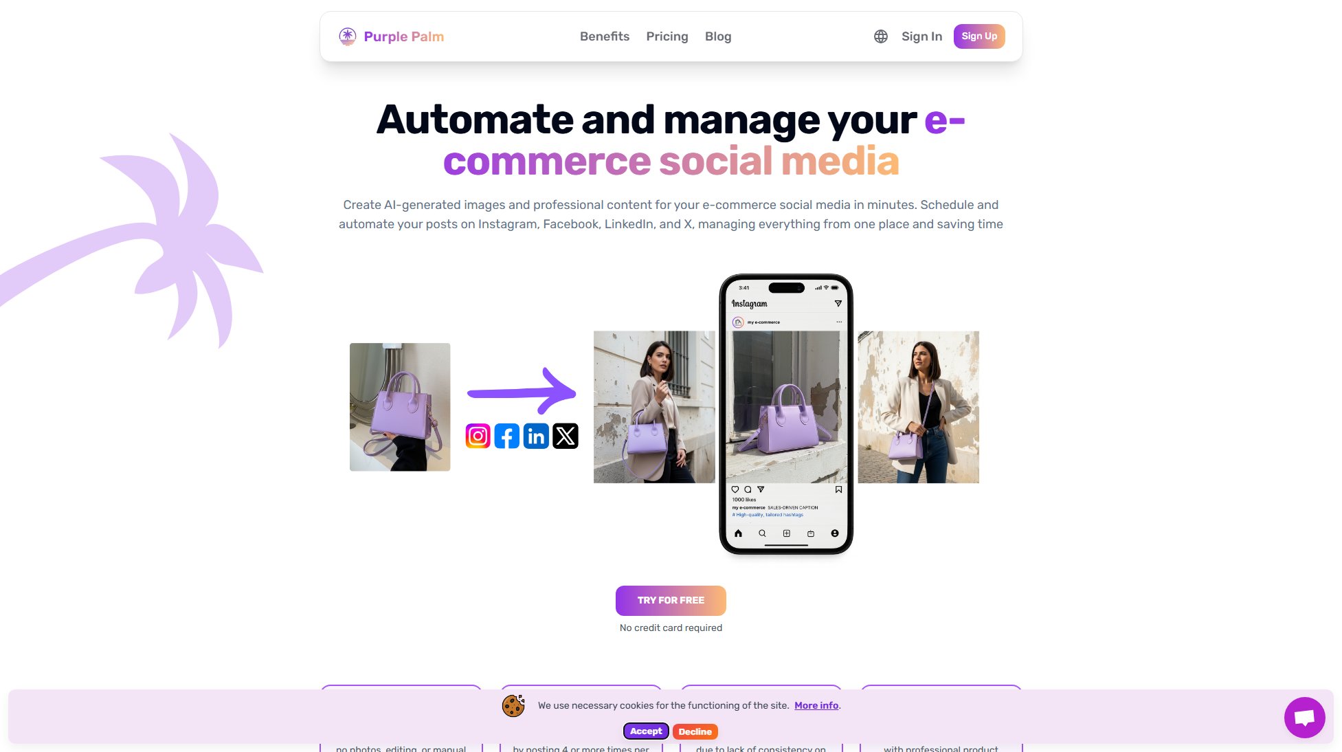 Purple Palm Purple Palm Interface & Screenshots Purple Palm Purple Palm Interface & Screenshots