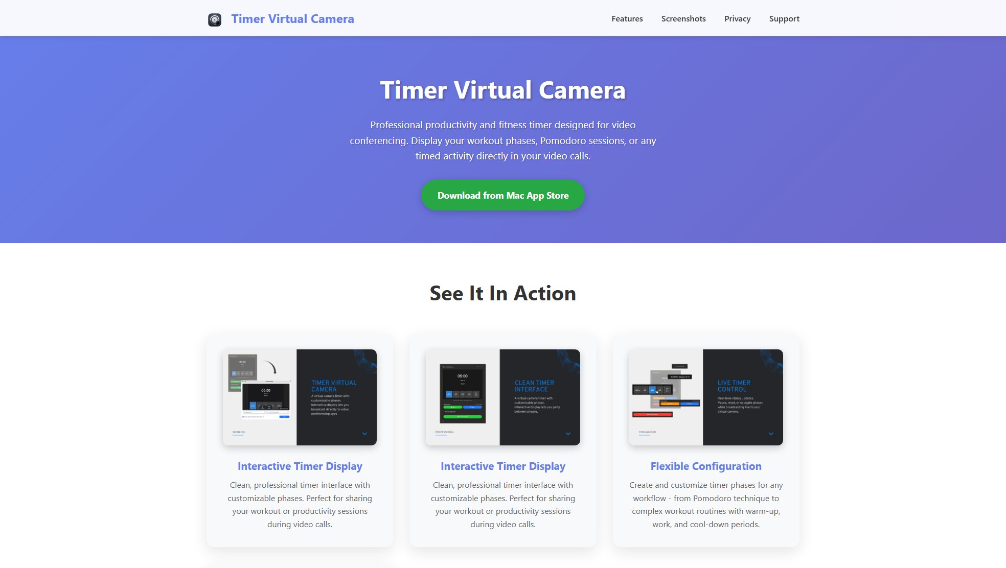 Timer Virtual Camera Screenshot