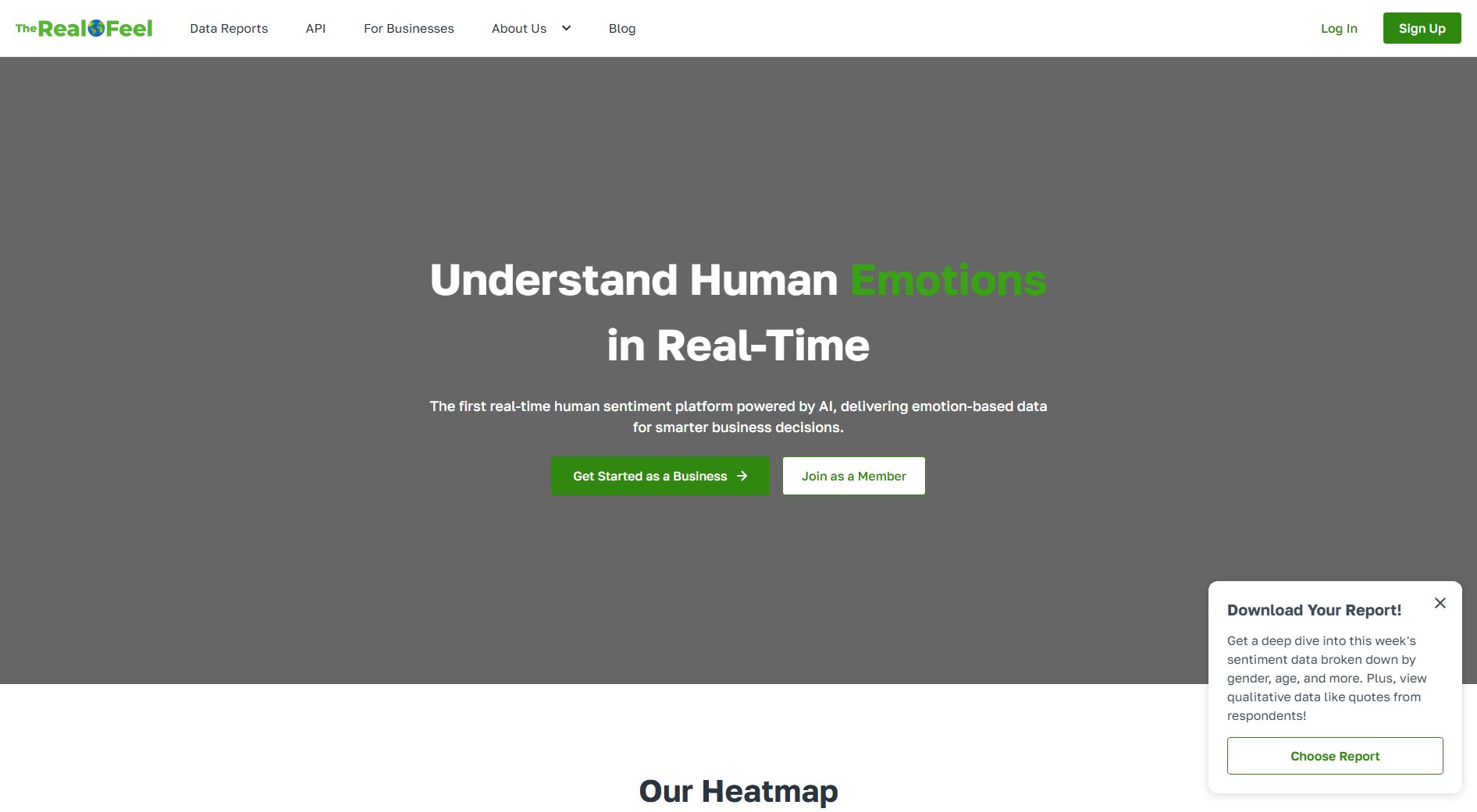 The Real Feel The Real Feel Interface & Screenshots