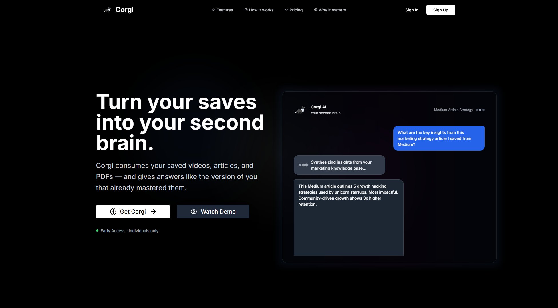Corgi AI Corgi AI Interface & Screenshots Corgi AI Corgi AI Interface & Screenshots