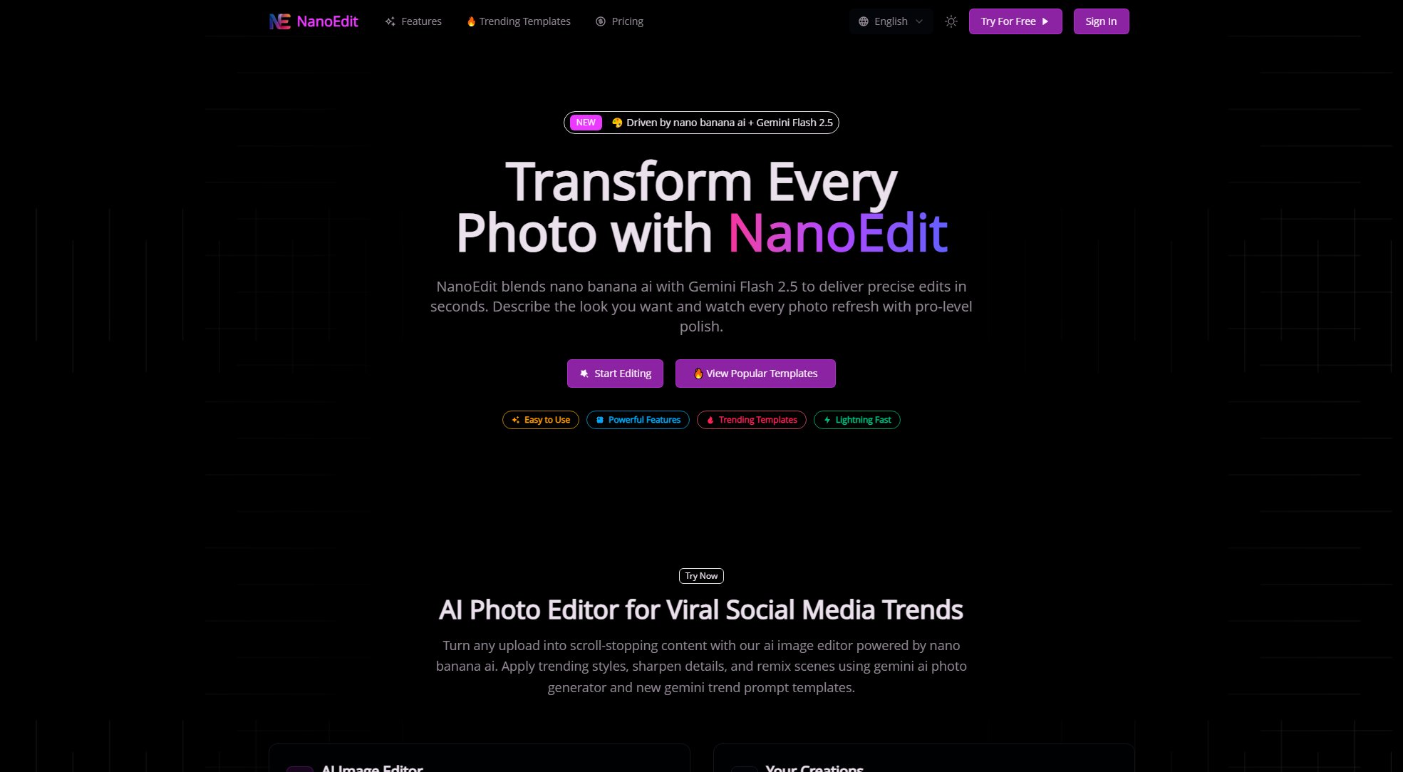 NanoEdit NanoEdit Interface & Screenshots