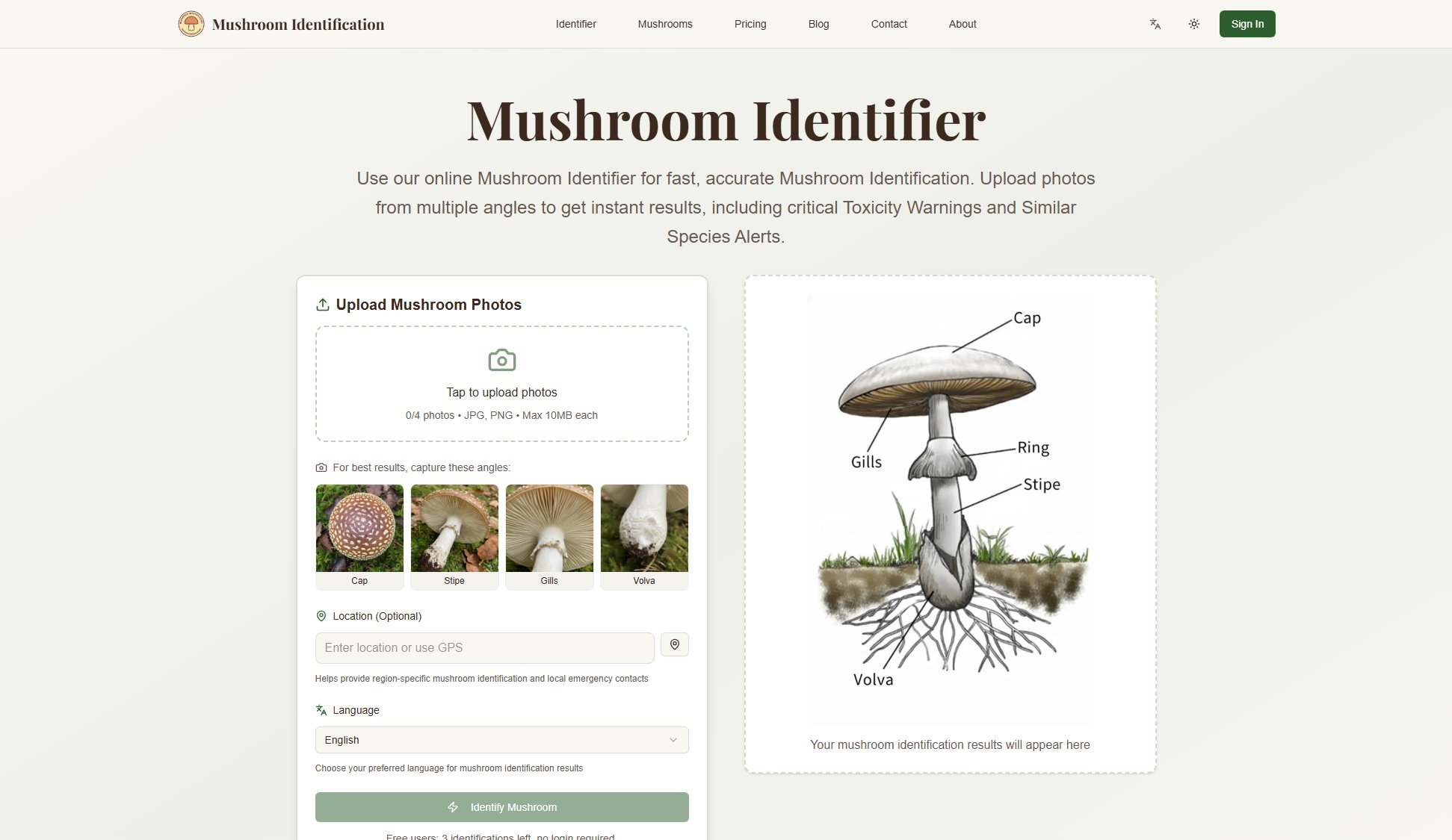 Mushroom Identifier Mushroom Identifier Interface & Screenshots Mushroom Identifier Mushroom Identifier Interface & Screenshots