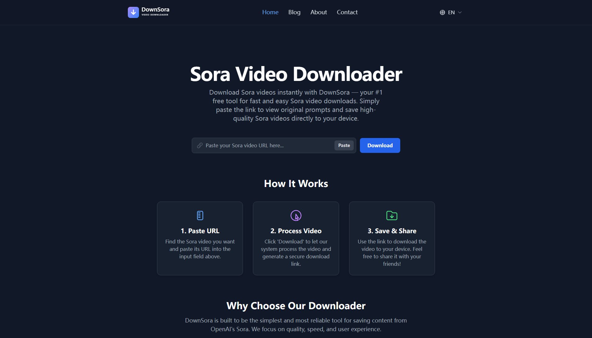 DownSora DownSora Interface & Screenshots DownSora DownSora Interface & Screenshots