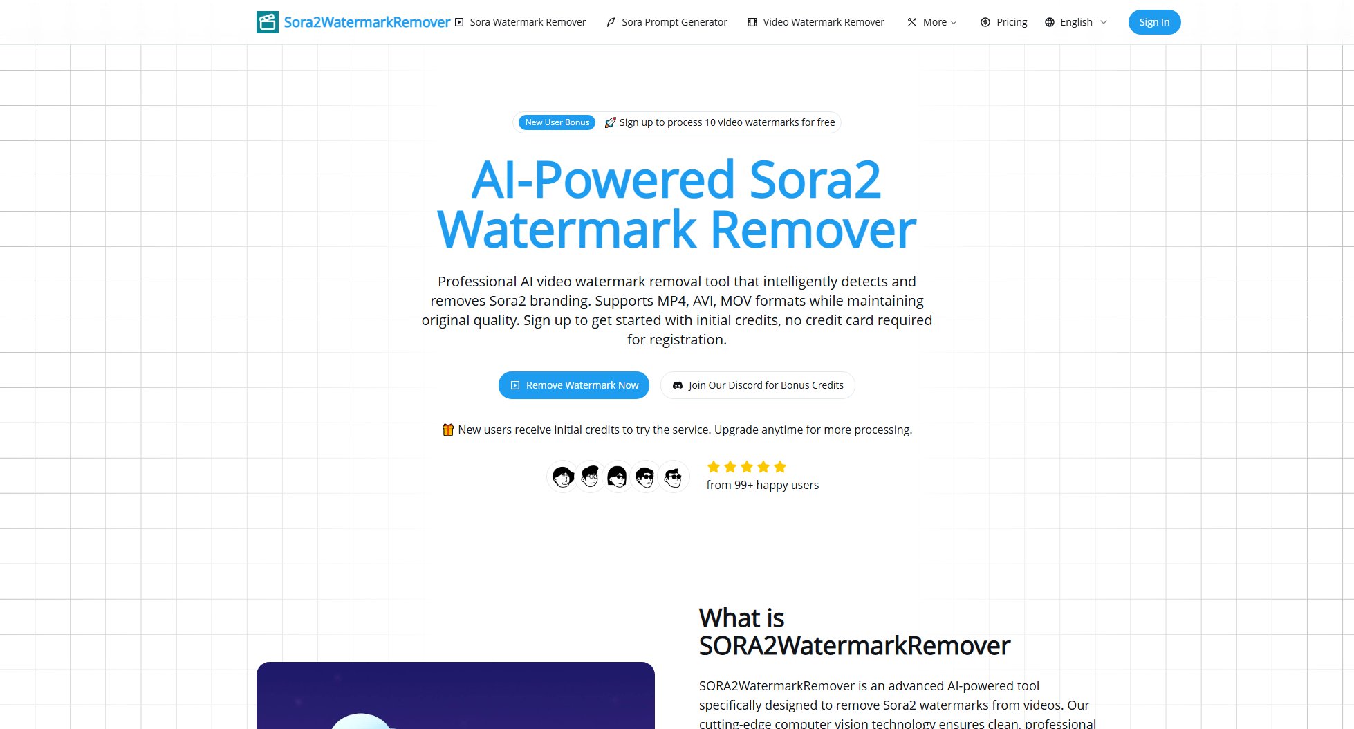 SORA2WatermarkRemover SORA2WatermarkRemover Interface & Screenshots