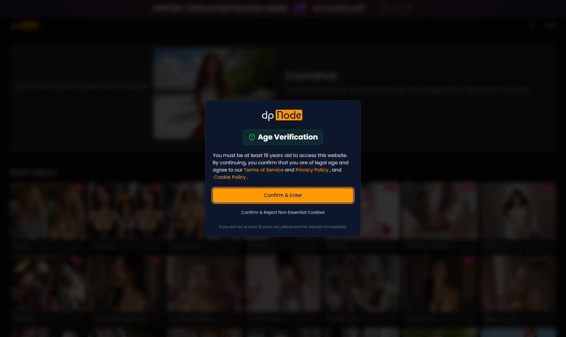 DPNode AI DPNode AI Interface & Screenshots DPNode AI DPNode AI Interface & Screenshots