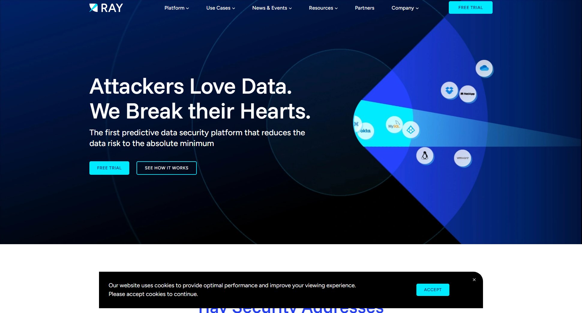 Ray Security Ray Security Interface & Screenshots