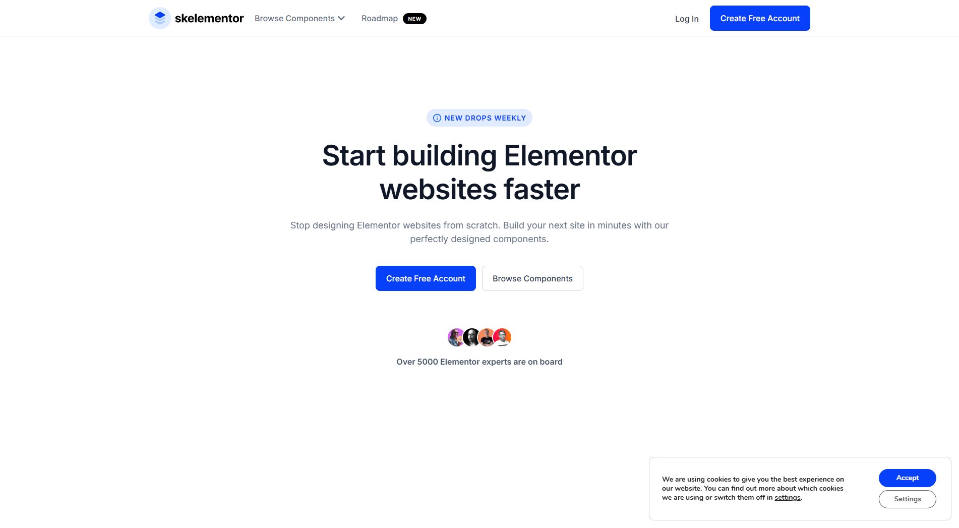 Skelementor Skelementor Interface & Screenshots Skelementor Skelementor Interface & Screenshots