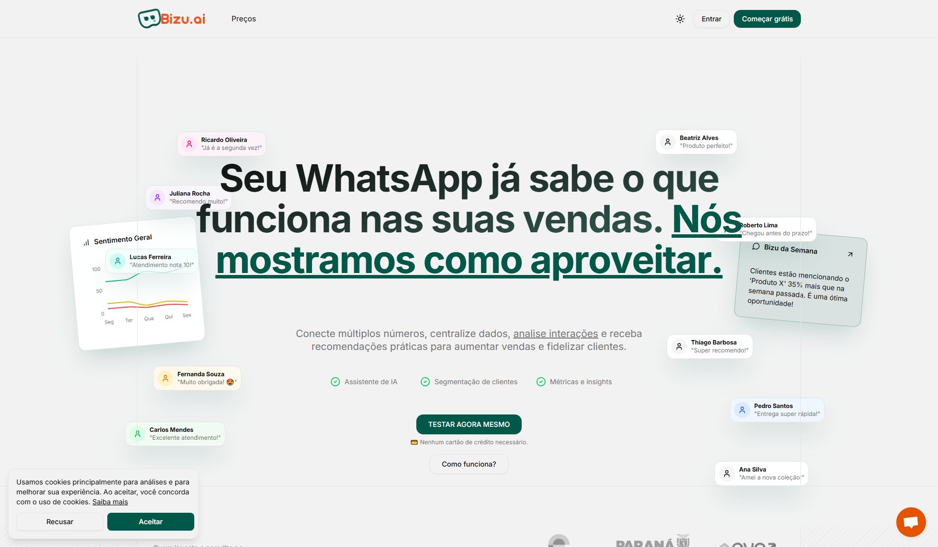 Bizu.ai Bizu.ai Interface & Screenshots