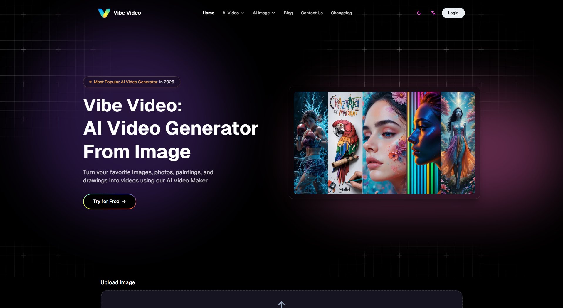 Vibe Video Vibe Video Interface & Screenshots Vibe Video Vibe Video Interface & Screenshots