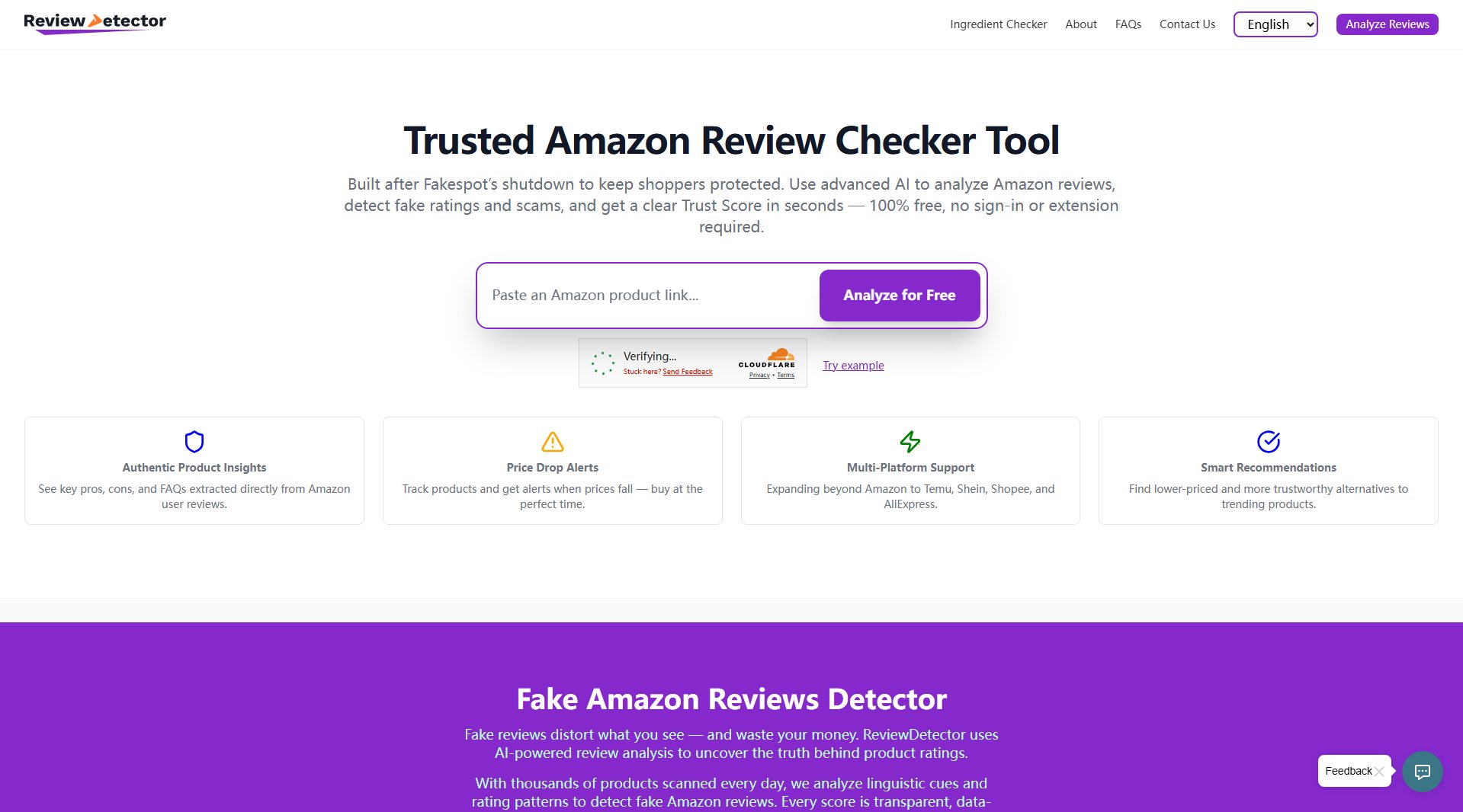 ReviewDetector ReviewDetector Interface & Screenshots