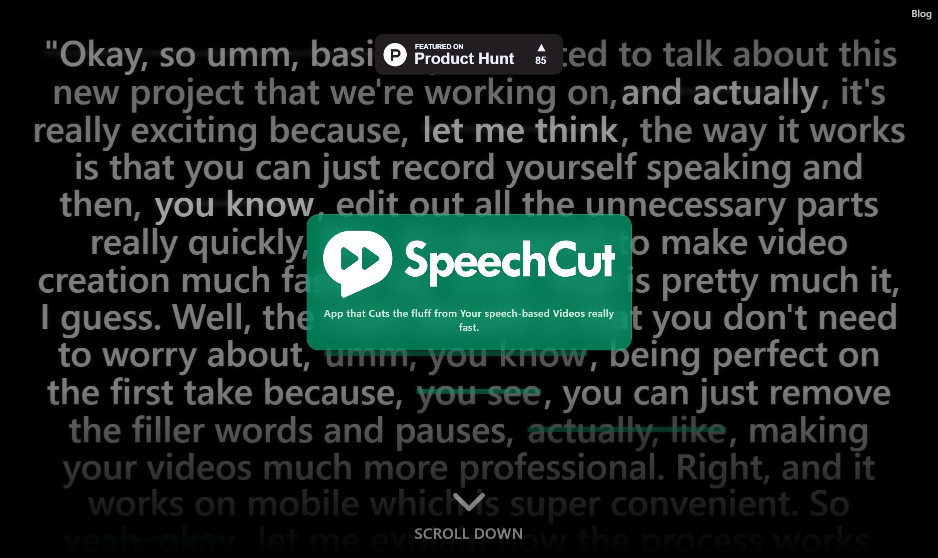 SpeechCut SpeechCut Interface & Screenshots