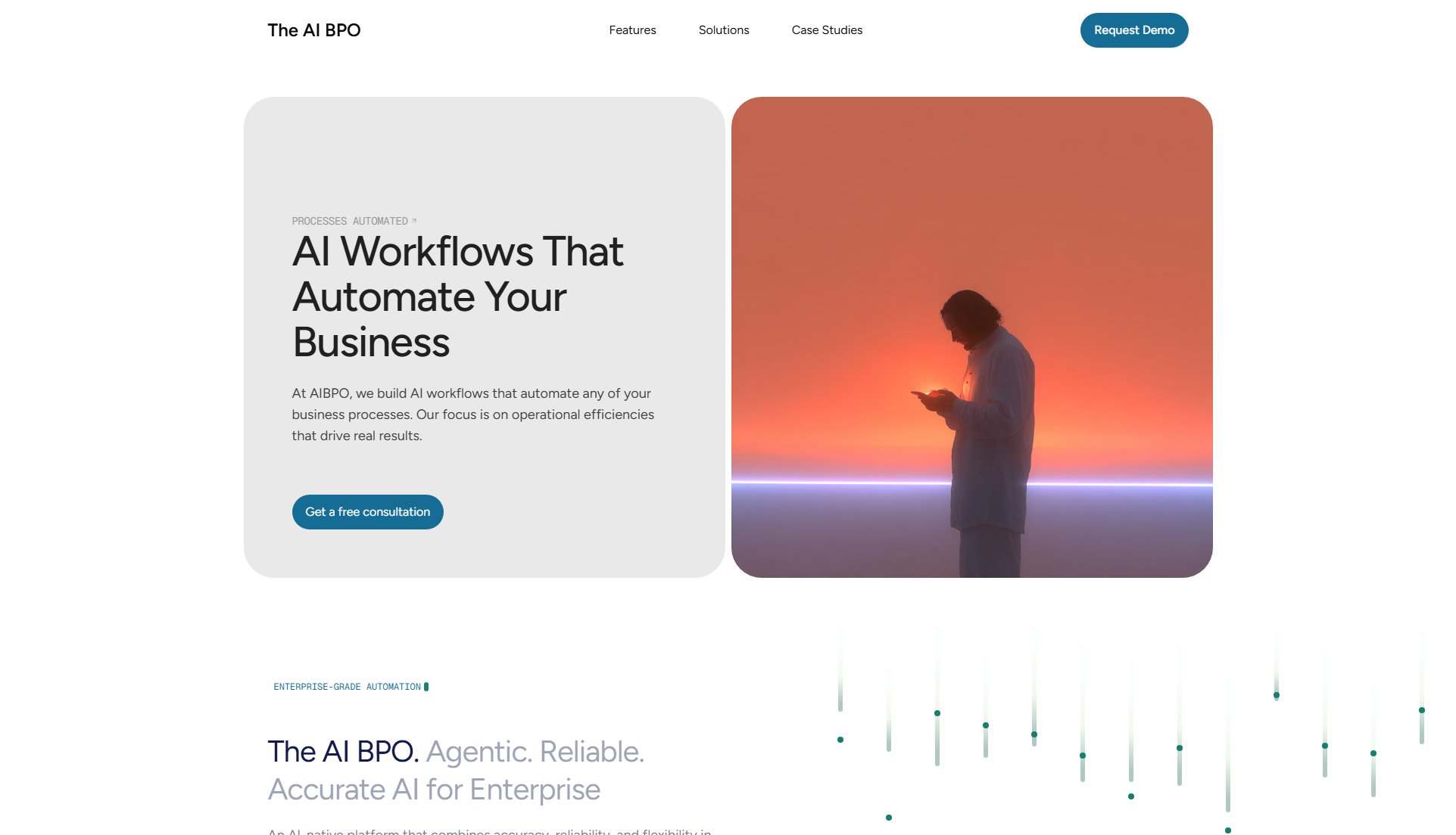 The AI BPO The AI BPO Interface & Screenshots