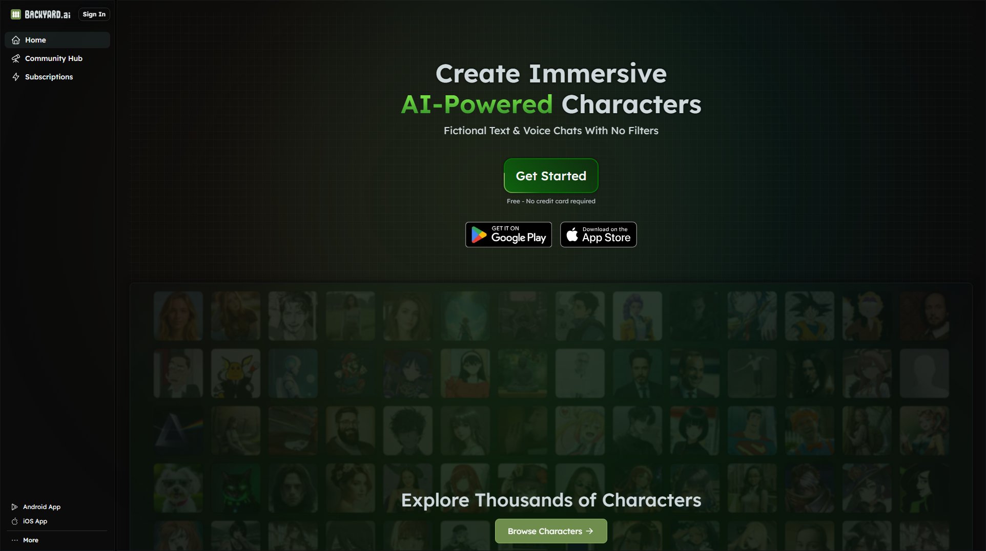 Backyard AI Backyard AI Interface & Screenshots