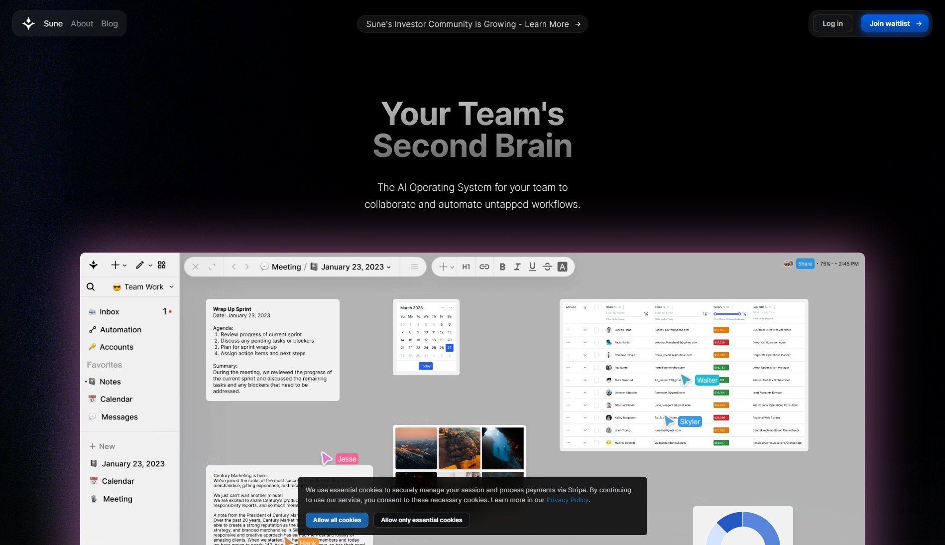 Sune AI Sune AI Interface & Screenshots Sune AI Sune AI Interface & Screenshots