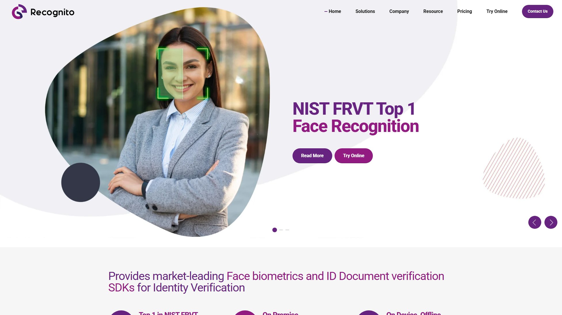 Recognito Recognito Interface & Screenshots