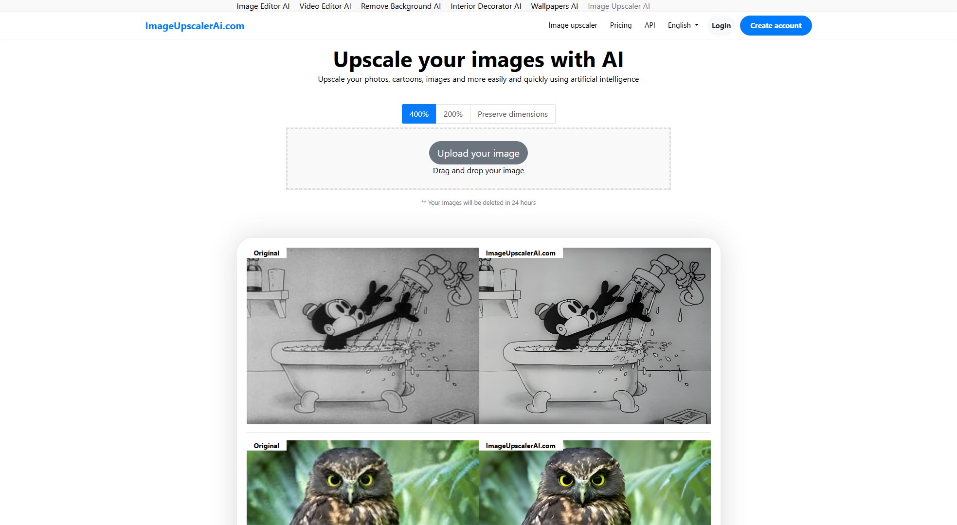 ImageUpscalerAI ImageUpscalerAI Interface & Screenshots