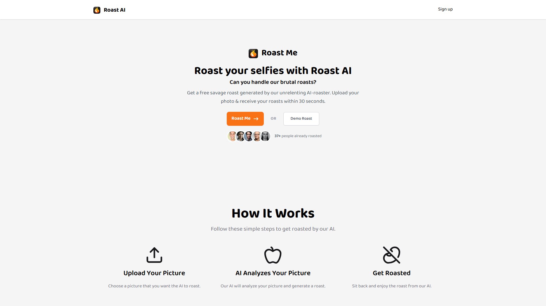 Roast AI Roast AI Interface & Screenshots