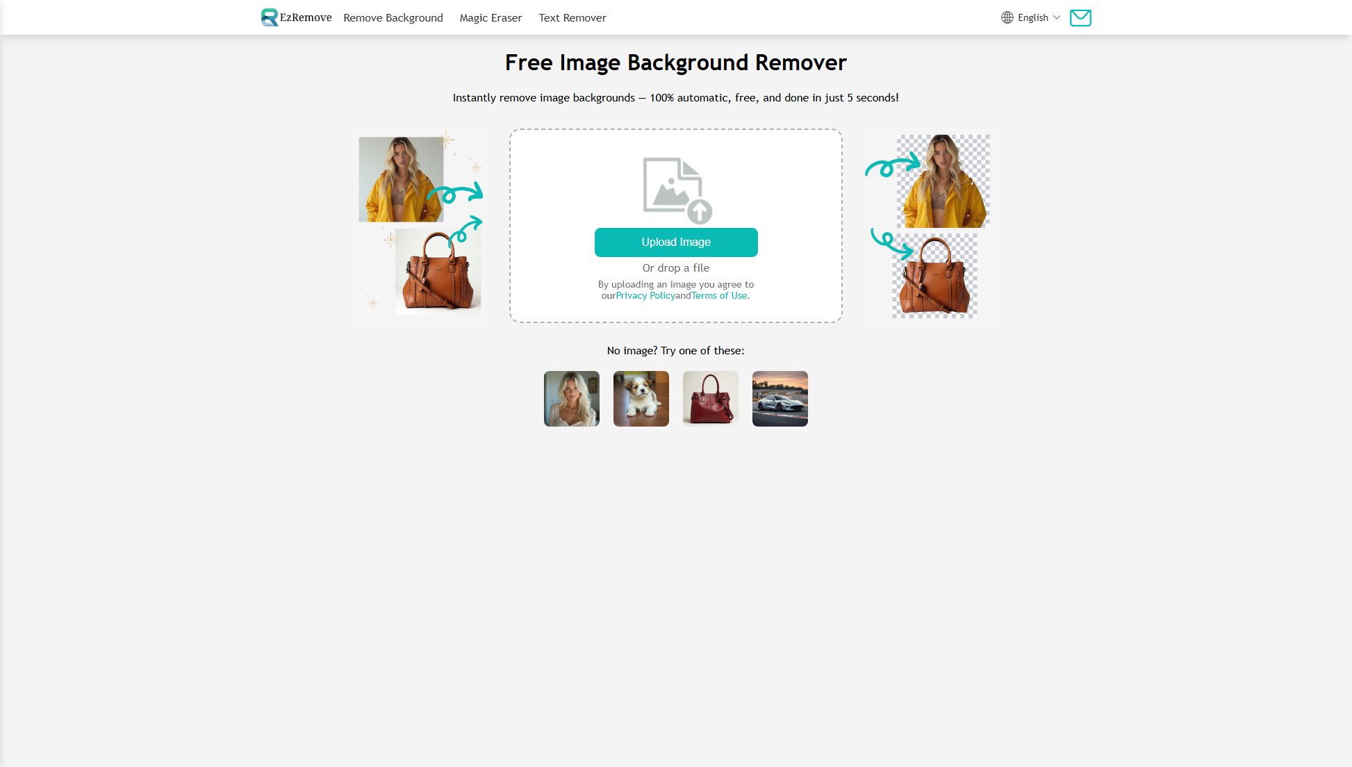 EzRemove Screenshot EzRemove Screenshot