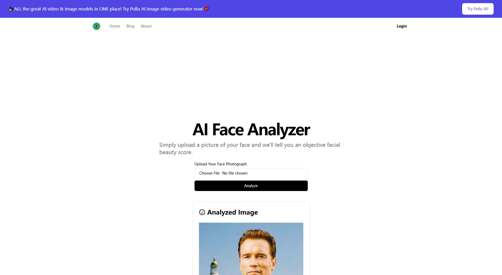 AI Face Analyzer AI Face Analyzer Interface & Screenshots
