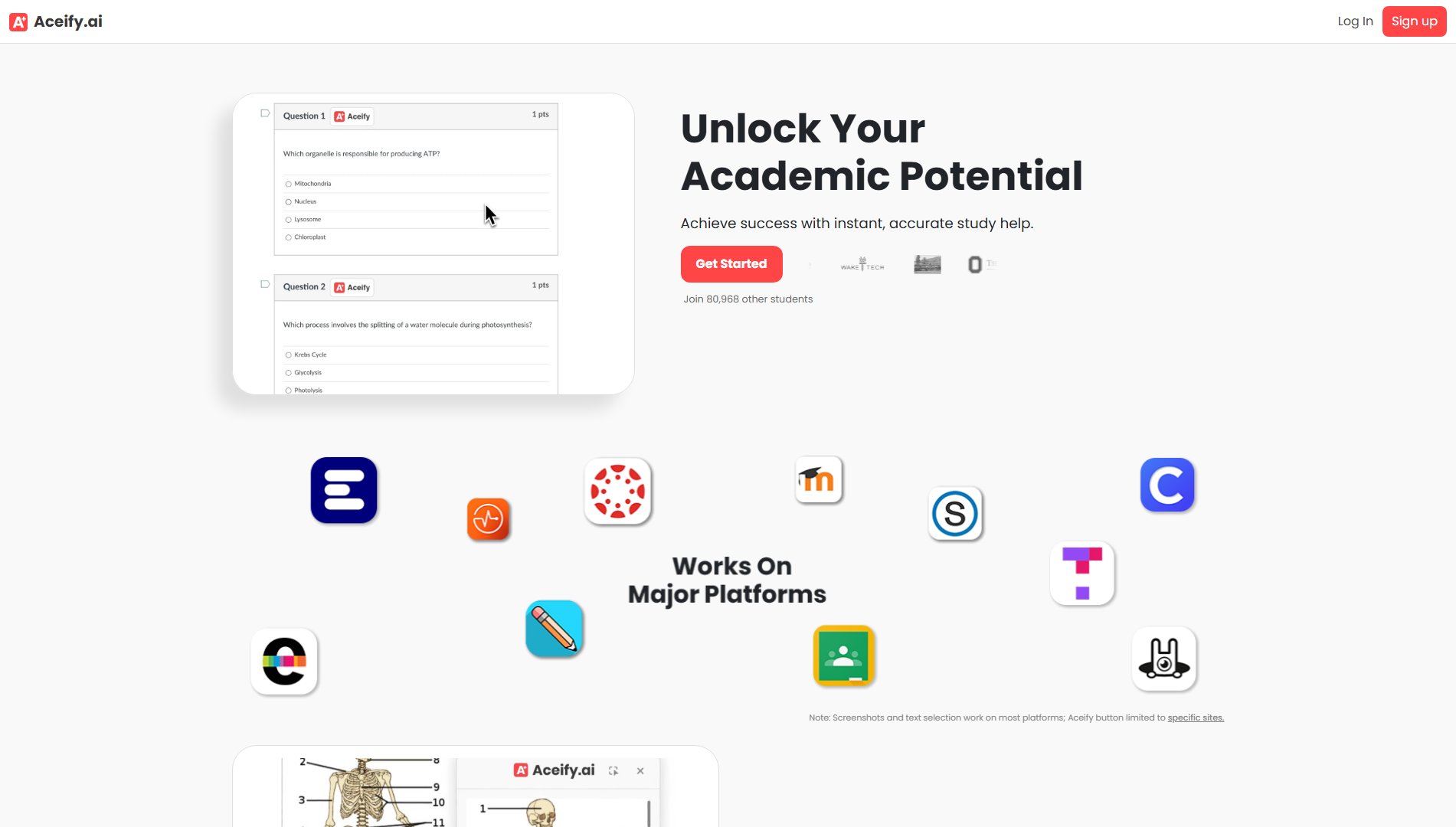 Aceify.ai Aceify.ai Interface & Screenshots