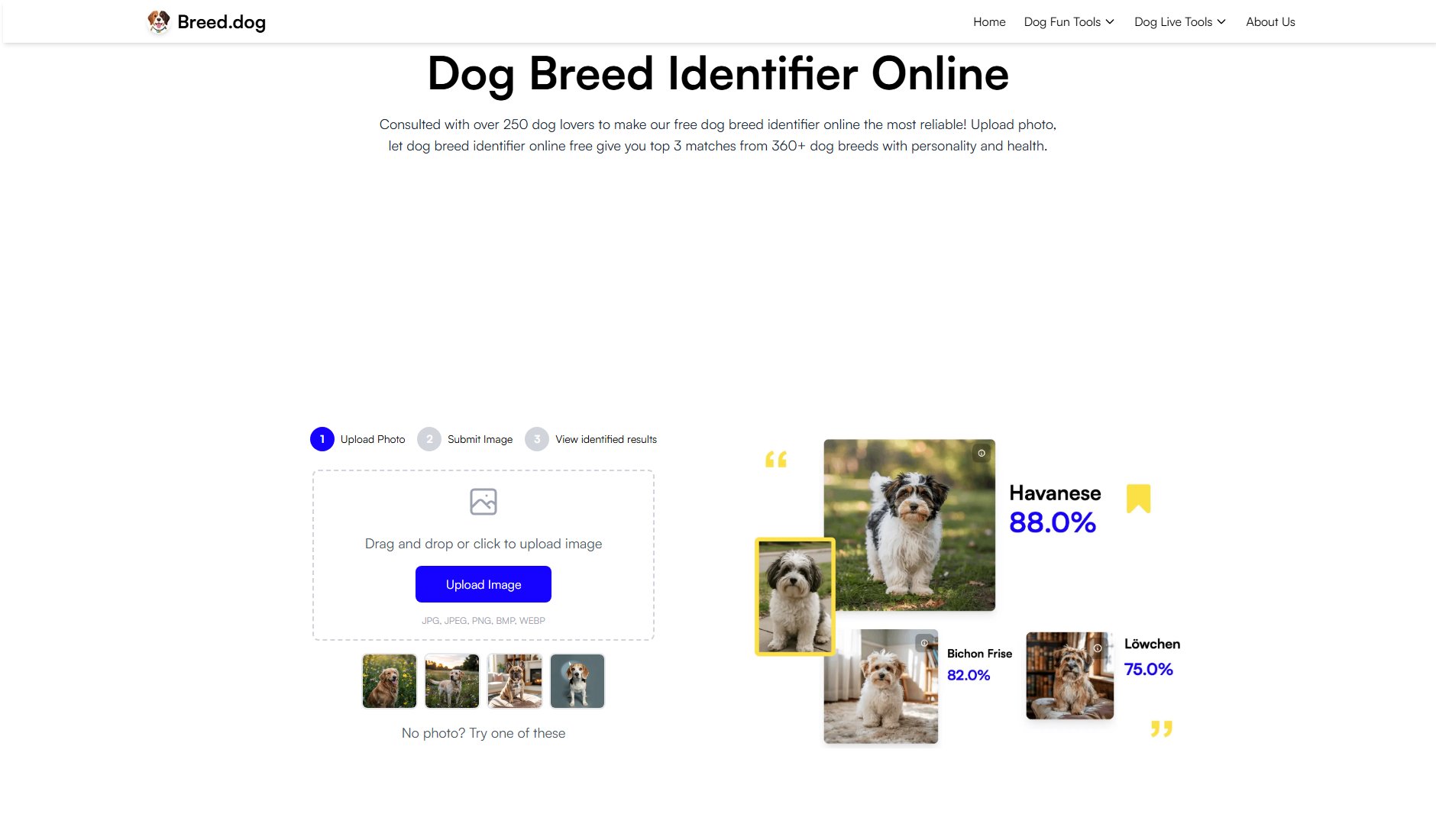 Breed.dog Screenshot