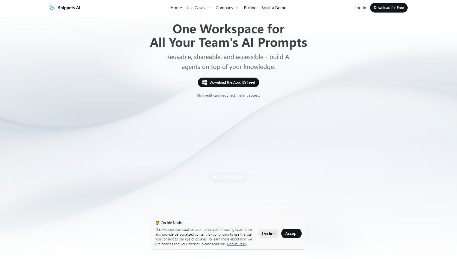 Snippets AI Snippets AI Interface & Screenshots