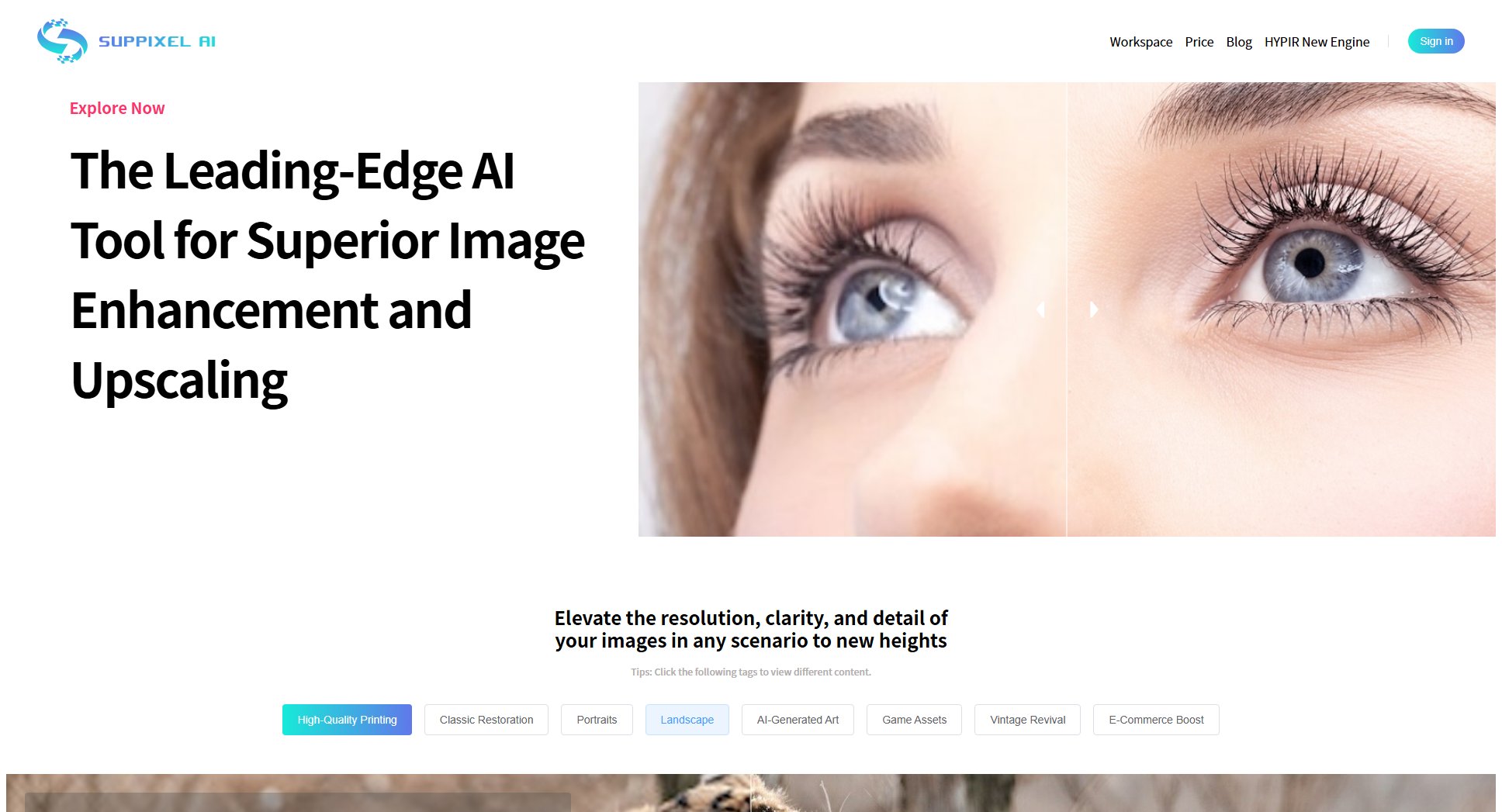 SupPixel AI SupPixel AI Interface & Screenshots