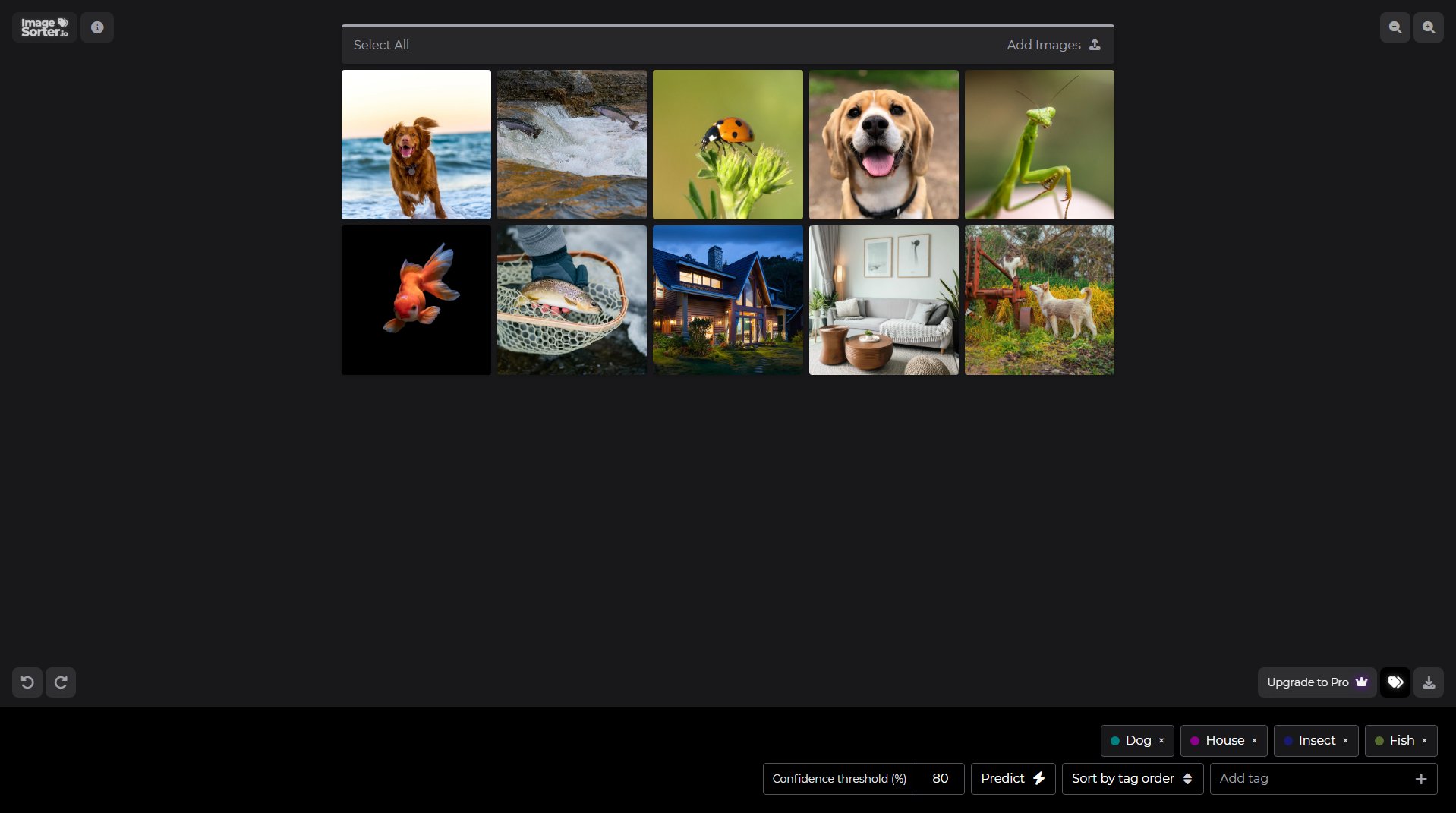 ImageSorter.io ImageSorter.io Interface & Screenshots ImageSorter.io ImageSorter.io Interface & Screenshots